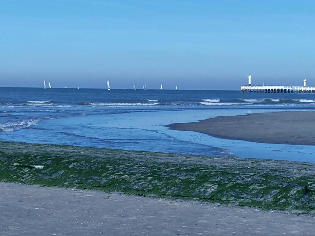 Studio Havenzicht Nieuwpoort Exteriér fotografie