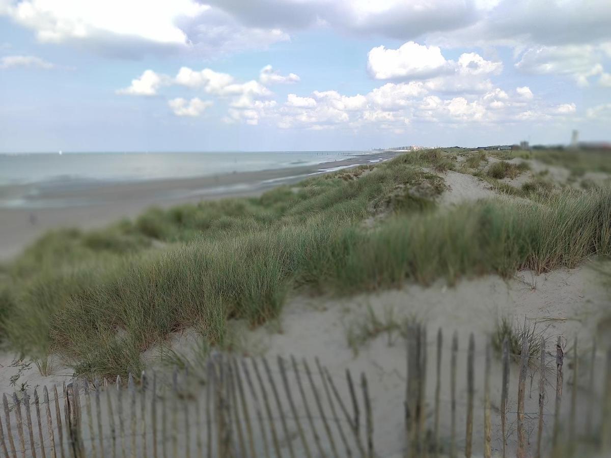 Studio Havenzicht Nieuwpoort Exteriér fotografie